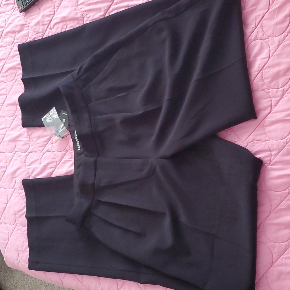 Express Wide Leg Mid Rise Slacks
